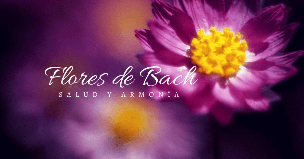 FLORES DE BACH